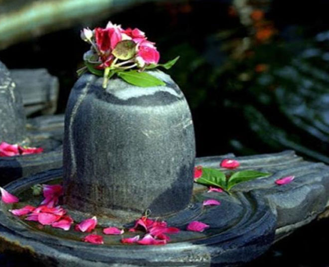 sawan shivling pooja inside 