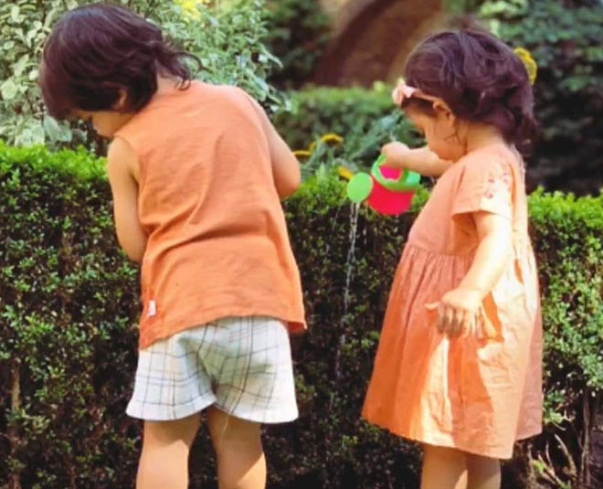 taimur ali khan latest memes