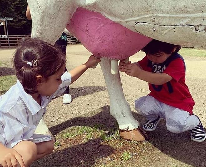 taimur ali khan latest pic