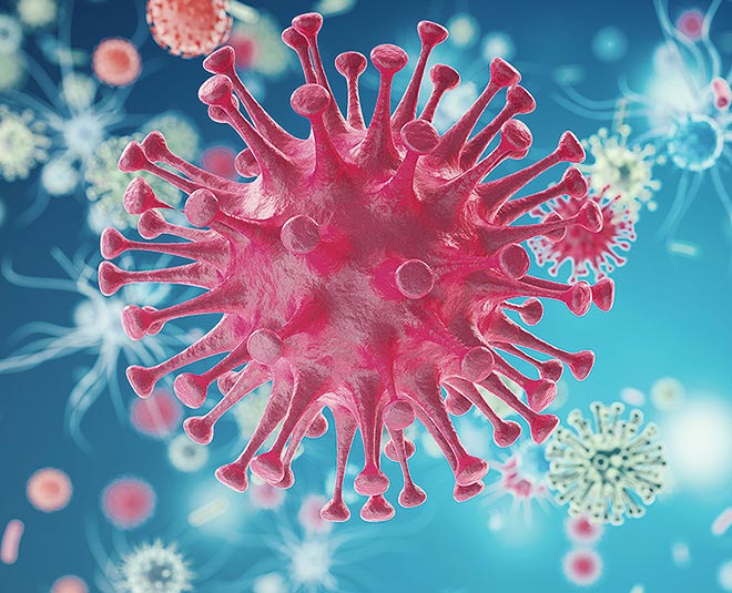 tomato health benefits