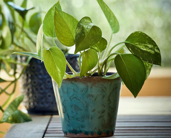 vastu tips for financial stability in side 