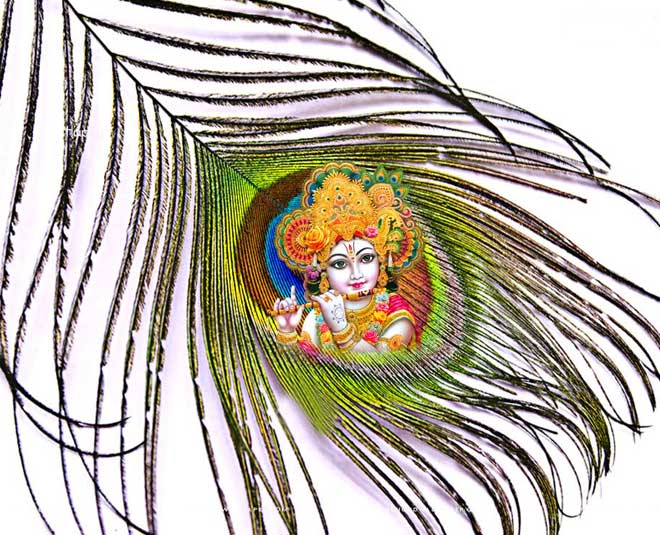 where to keep peacock feathers as per vastu