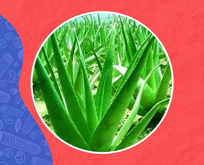 diet plan for beautiful skin aloe vera inside 