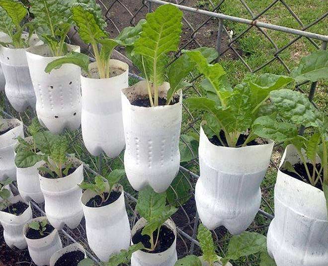 inside  plastic bottles reuse