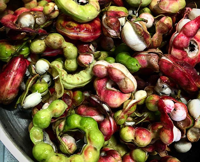 jungle jalebi health fitness