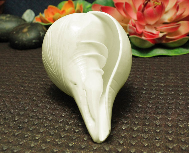 keeping shankh at home inside 