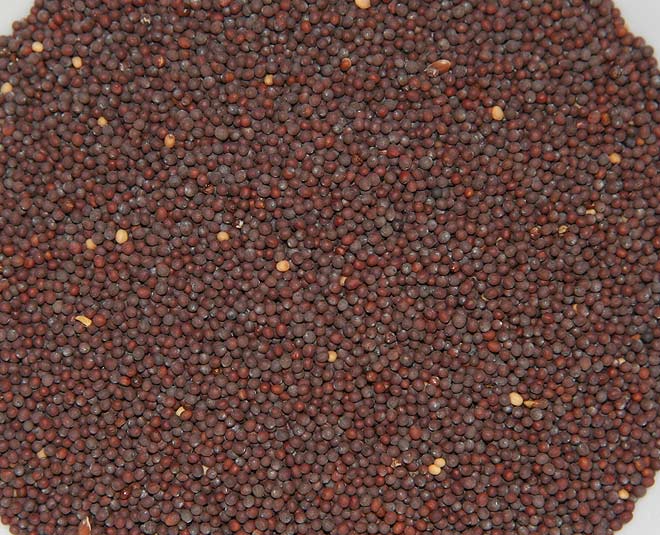 kitchen doctor mustard seeds