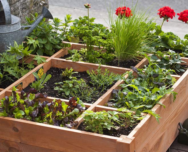 kitchen harb for health inside 