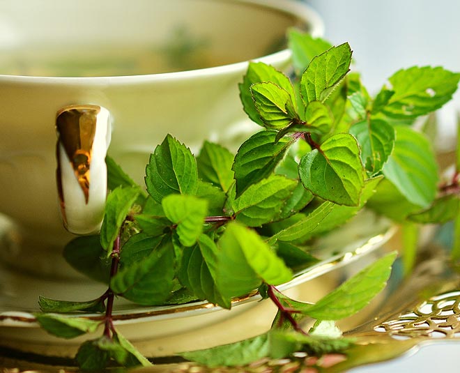 mint green tea face pack for skin