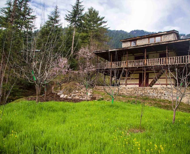 mountain woods manali