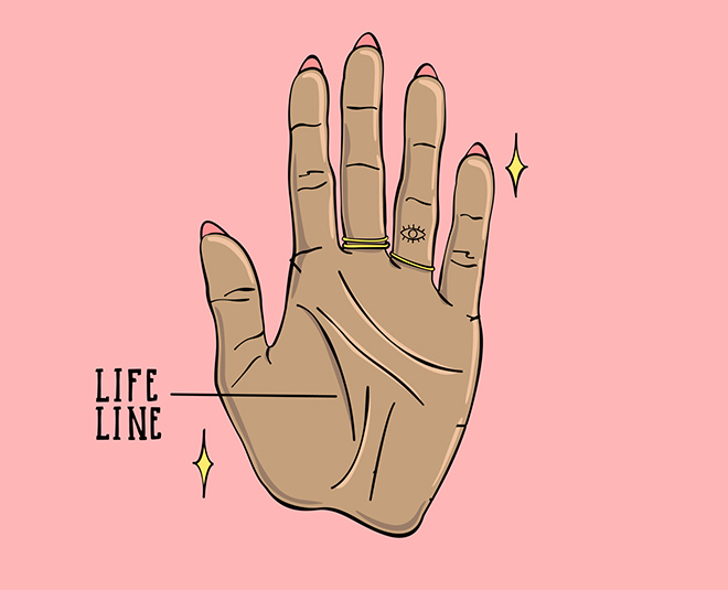 palms reveal a lot about your future life line