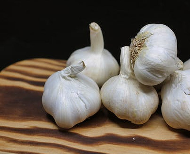 9 Permanent Solutions For Your Lizard Problem HerZindagi