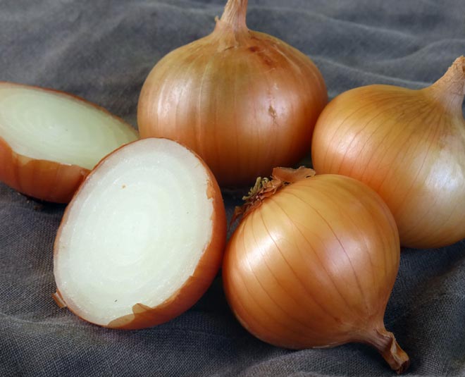 9 Permanent Solutions For Your Lizard Problem HerZindagi