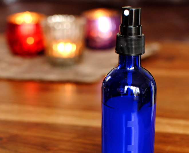 9 Permanent Solutions For Your Lizard Problem HerZindagi