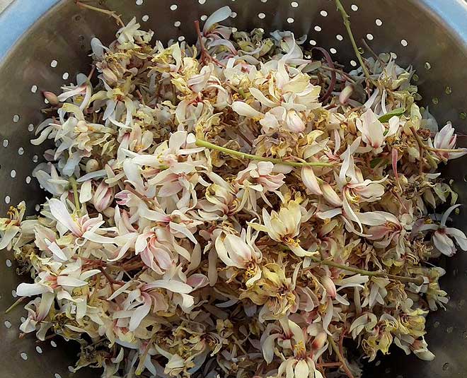 sahjan ke phool ki sasro wali sabzi inside 