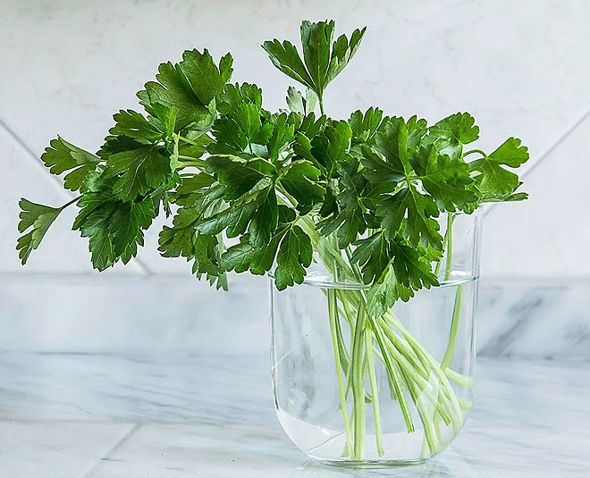 some herbs for your kitchen and health inside 