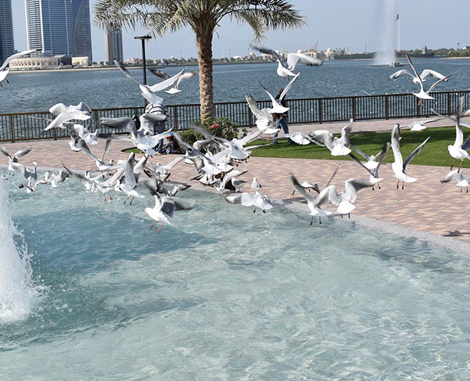al majaz sharjah