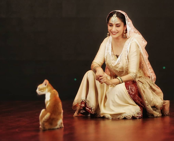 bollywood atress madhuri dixit women day