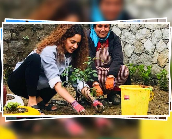 kangana birthday planting saplings