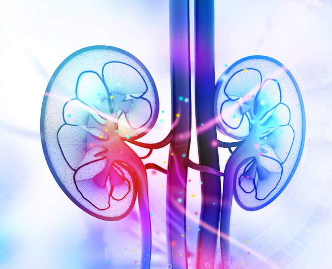 kideny health herbs card ()