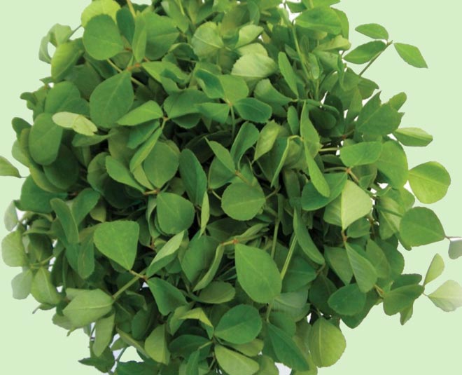 methi chicken recipe inside 