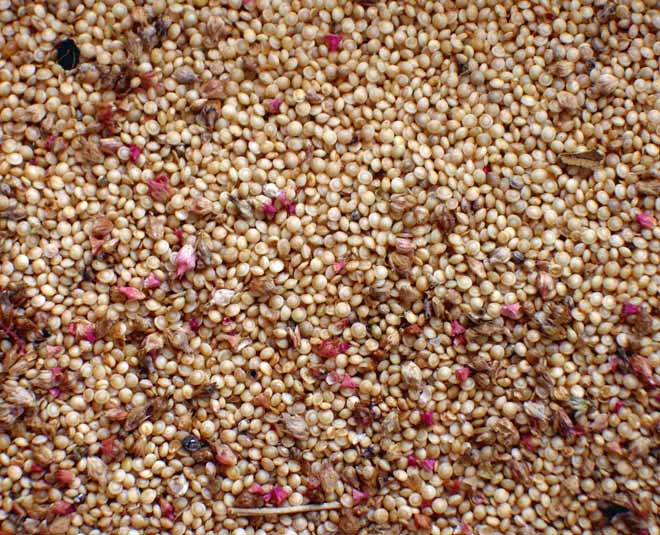 superfood for women amaranth