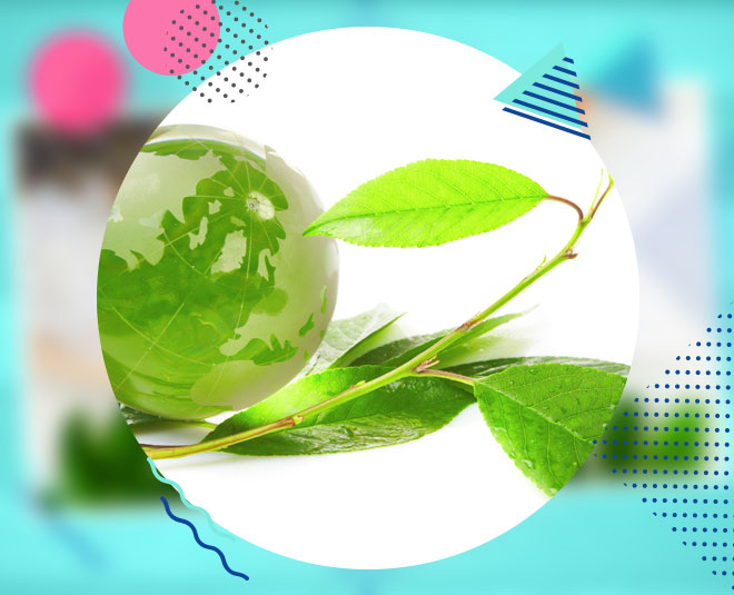 vegan makeup for environment