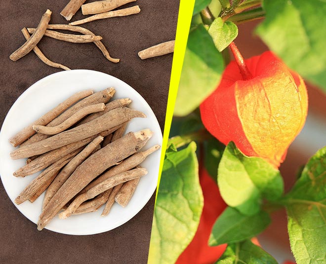 ashwagandha for younger look