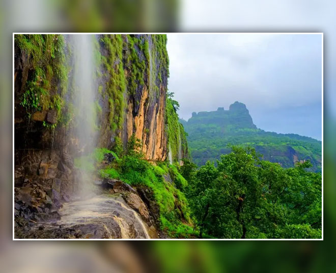 bhimashankar wildlife sanctuary in pune for kids