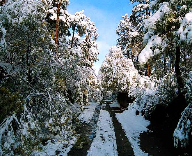 cheapest places binsar