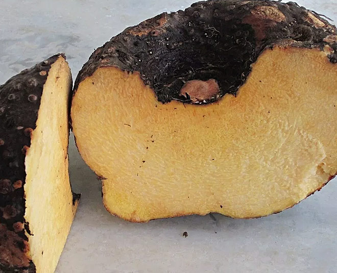 cook suran ka chokha recipe at home inside 