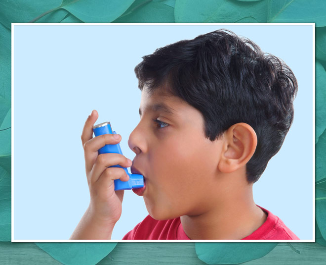 eucalyptus respiratory