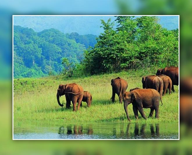 nagzira wildlife sanctuary maharashtra for kids