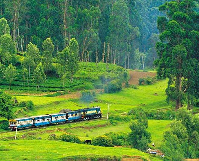 tamil nadu ooty