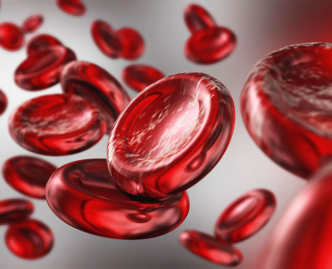 tulsi health benefits increase oxygen level inside 