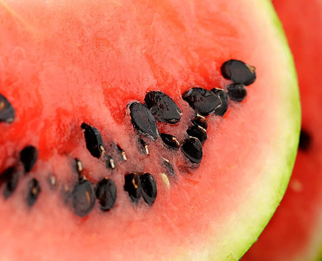 water melon seeds