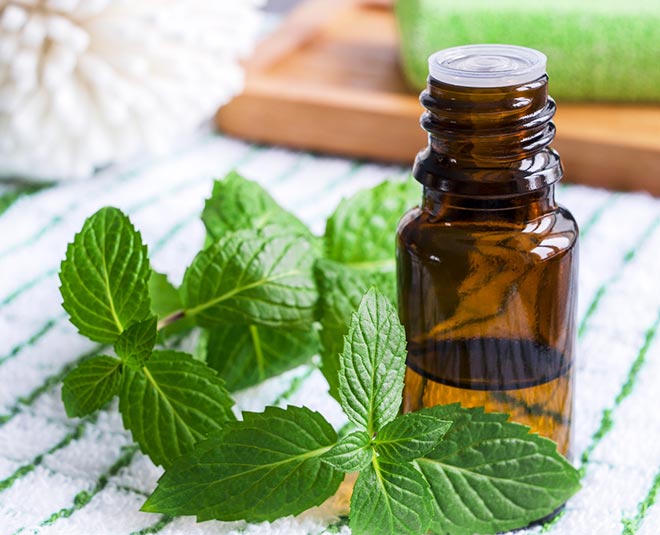 Peppermint Oil For Anti Ageing