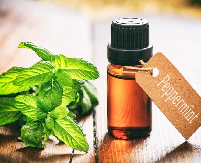 Peppermint Oil For Glowing Skin And Anti Ageing