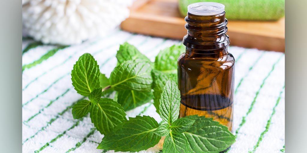 4 Amazing Skin Benefits Of Peppermint Oil For Glowing Skin And Anti Ageing 4 Amazing Skin 7867