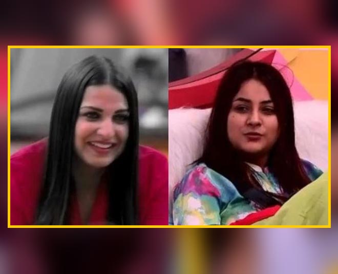 himanshi vs shehnaz