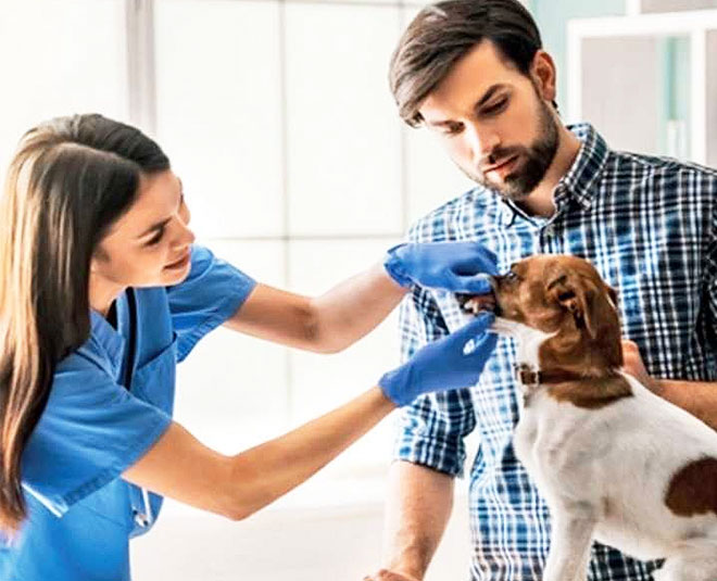 make a successful career in zoology inside two