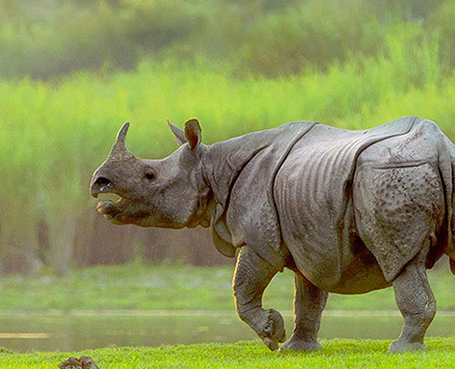 new year holiday destinations arunachal