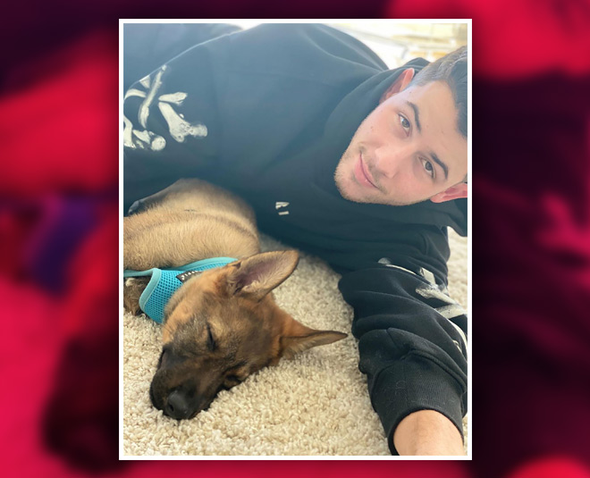 nick priyanka anniversary surprise