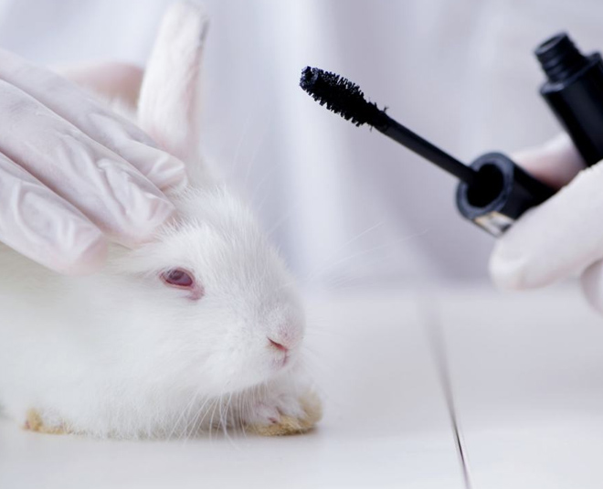 Why Are Skin & Hair Care Brands Going Cruelty-Free? What ...