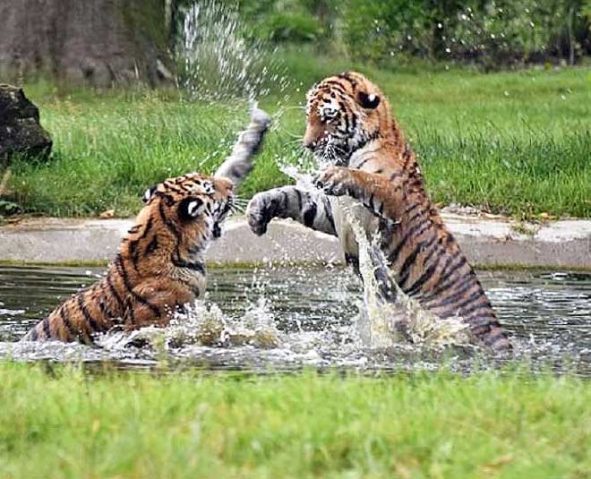 places to visit during weekends in november inside four