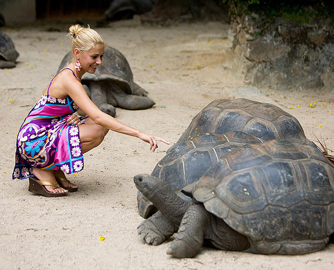 seychelles in budget two