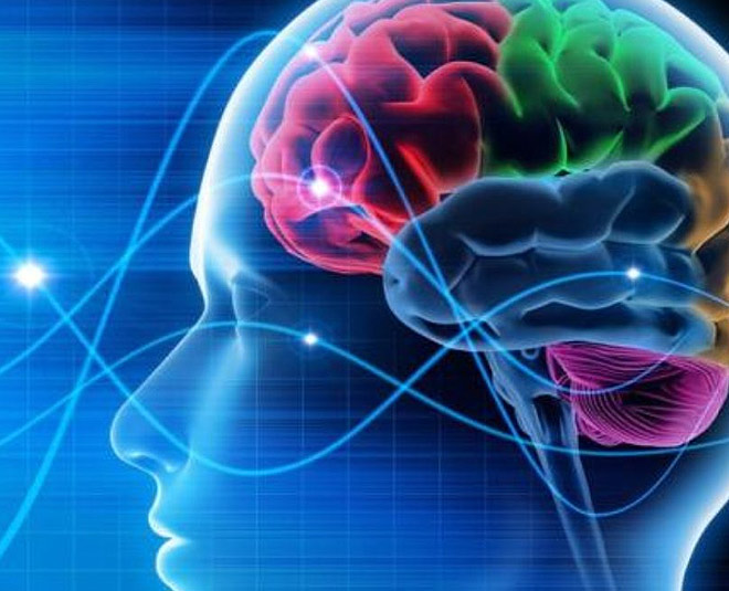 shankhpushpi tea for brain