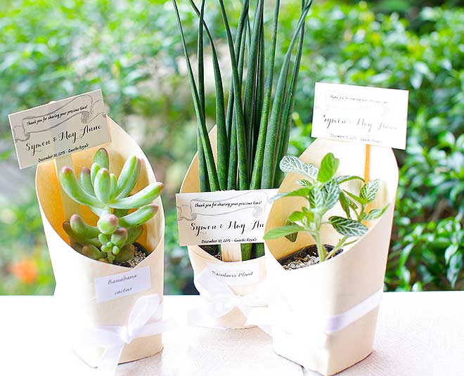 unique flower pot  wedding  invitation card inside three