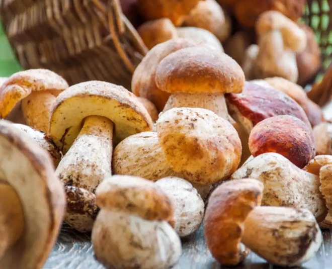 B Vitamins for mental health