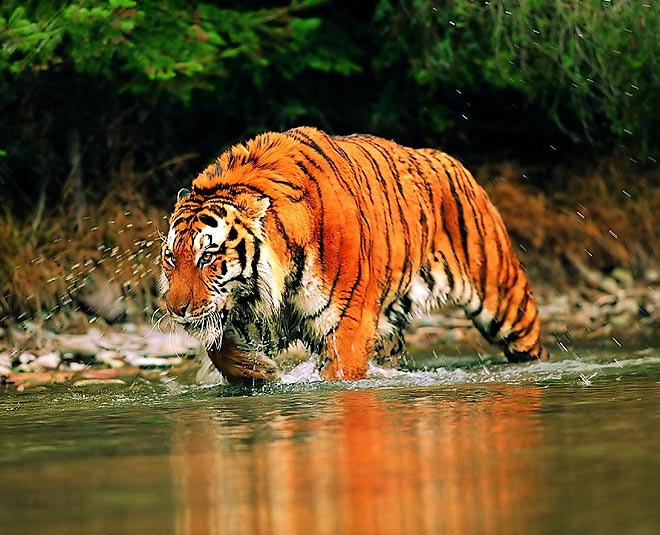 Sunderban best time to visit
